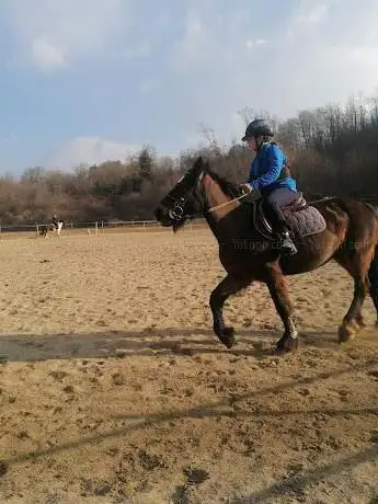Photo de Biella Equestrian Team