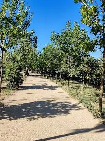 Photo de Çağdaşkent Parkı