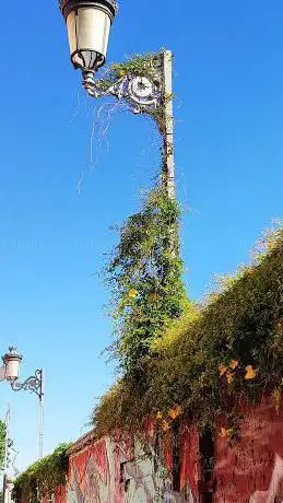 Photo de Parc dels Mestres Senabre