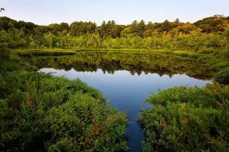 Photo de Charles W. Ward Reservation