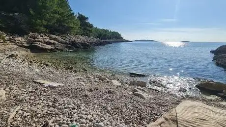 Photo de Plaža Blato