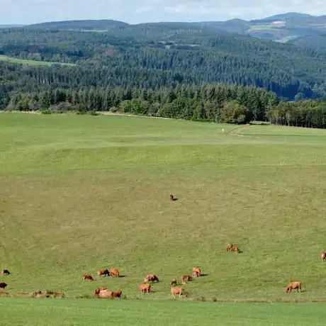 Photo de Meerfelder Maar