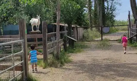 Photo de Ferme de Découverte Saint-André