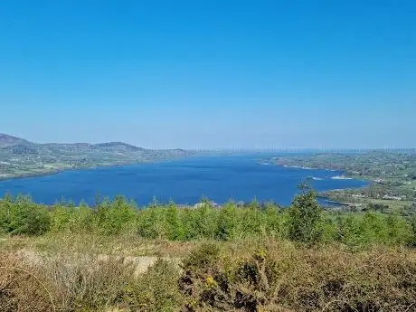 Photo de Ballycuggaran Forest Car Park