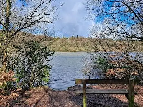 Photo de Glasderry Wood