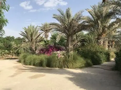 Photo de Wahat Al Nakhil