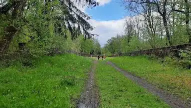 Photo de La Voie des Pierres qui Parlent