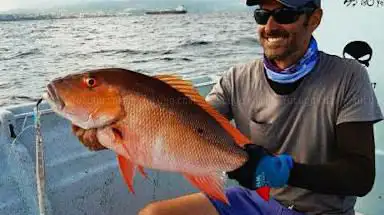 Photo de Madinina Xtrem Fishing