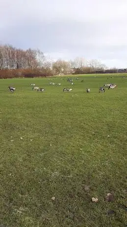 Photo de Copperas Field Dog Walking