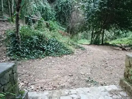 Photo de Font de les Oliveres