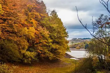 Photo de Agden Bog Nature Reserve
