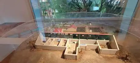 Photo de Centro Arqueolóxico da Vila Romana de Toralla