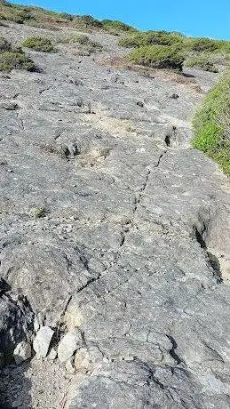 Photo de Pegadas de Dinossauro