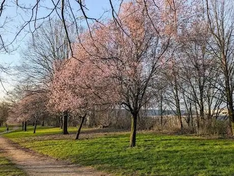 Photo de Pantoffel Park