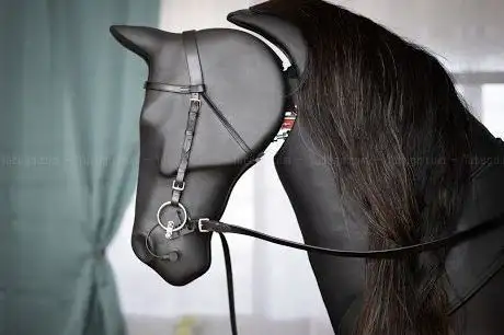 Photo de Reitsimulator.at