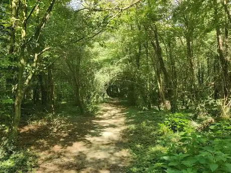 Photo de Bosco del Carengione