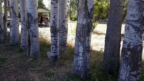 Photo de Zekeriya Özkul Parki