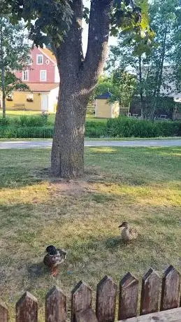 Photo de Finlandsparken eksjö