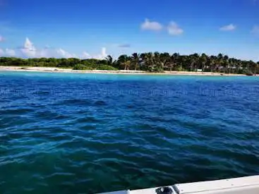 Photo de Miami Vice