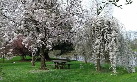 Photo de Arboretum