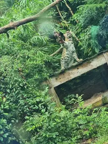 Photo de Emerald Park Zoo