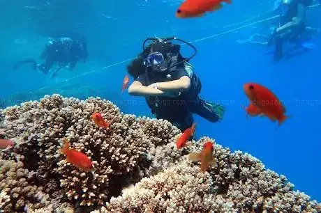 Photo de Seamax Sharm Dive Center