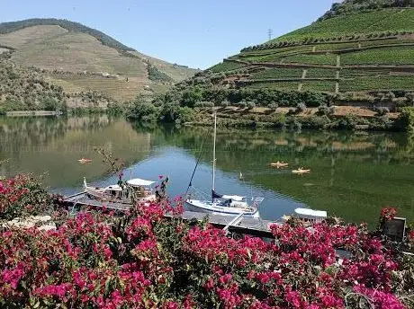 Photo de Ânima Durius