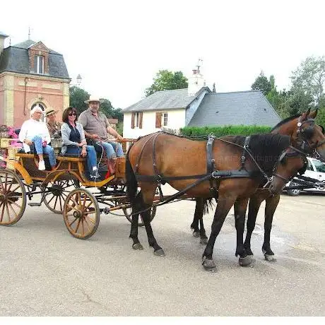 Photo de Calèche de Saint-Pierre