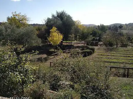 Photo de El ROBLEDO Botanical Garden