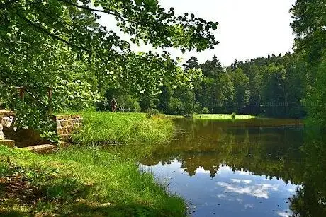 Photo de Jenišovský rybnik