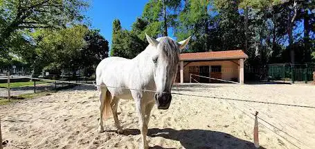 Photo de Allées Provençales