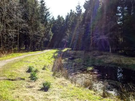 Photo de Cowdenbeath Community Woodland