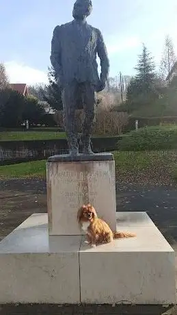 Photo de Muzej F.Tuđman
