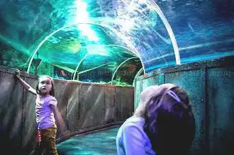 Photo de Grand Aquarium de Touraine