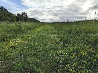 Photo de Shawangunk Grasslands National Wildlife Refuge