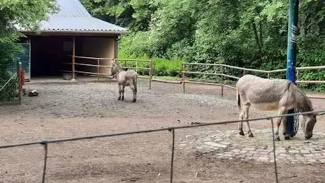 Photo de Sahnpark im Tiergehege