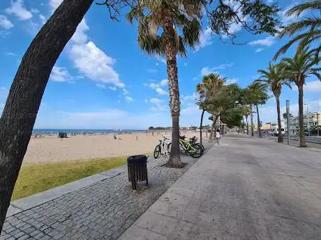 Photo de Platja de la Llosa