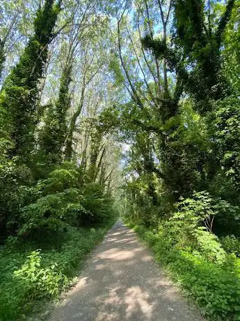 Photo de Bosco della Panfilia - Sant'Agostino (Fe)