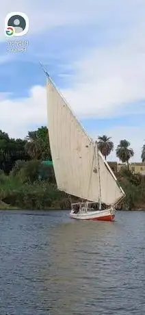 Photo de Babylon faluka sailing boat