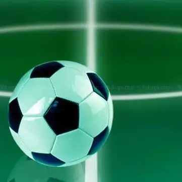 Photo de Soccerarena Lippe