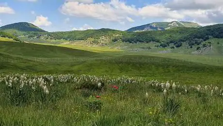 Photo de Riserva regionale Voltigno e Valle d'Angri