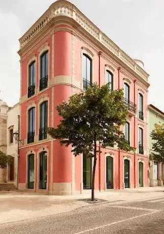 Photo de In The Pink - Fine Photo Art Gallery
