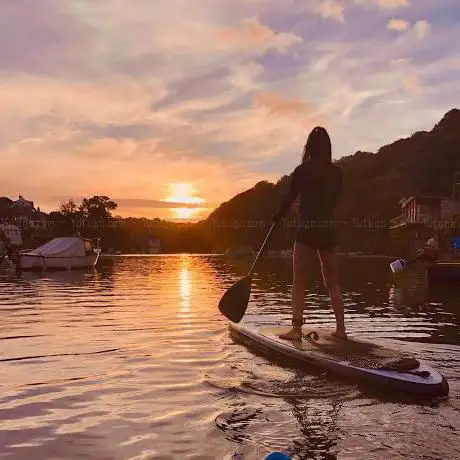 Photo de SwellHunter