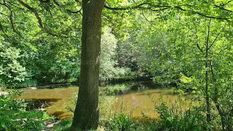 Photo de Southcrest Wood