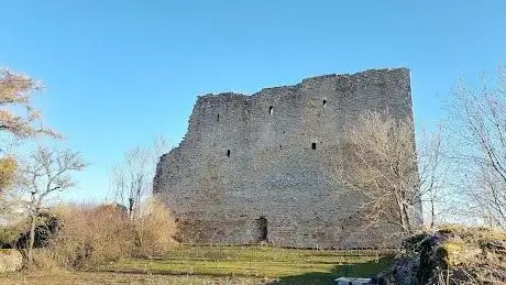 Photo de Ruines du Château à Vaudémont