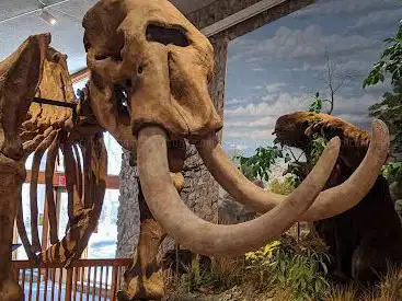 Mastodon State Historic Site