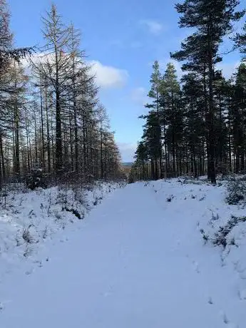 Photo de The Ian Baxter Picnic Area & Woodland Walks