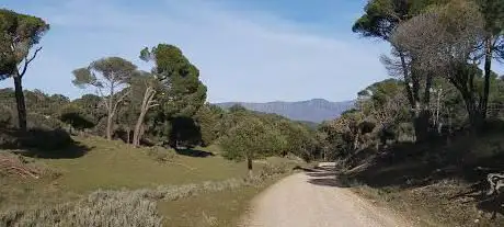 Photo de Pinar del Concejo (Casa Tablas)