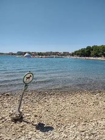 Photo de Plaža za pse