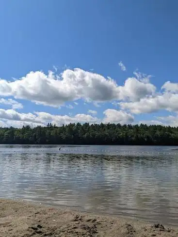 Photo de DAR State Forest